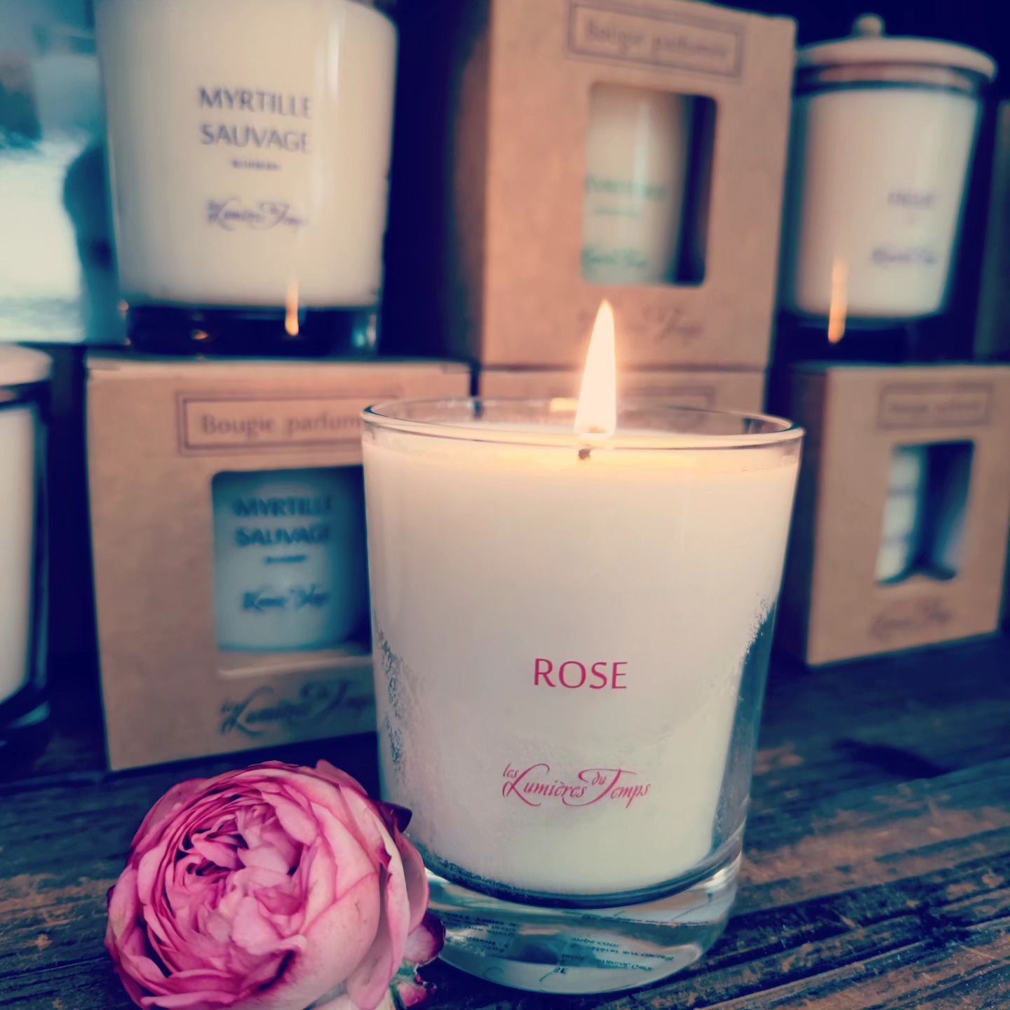 Bougie blanche allumée, ornée d'une fleur rose, posée sur une étagère en bois, dans une boutique.