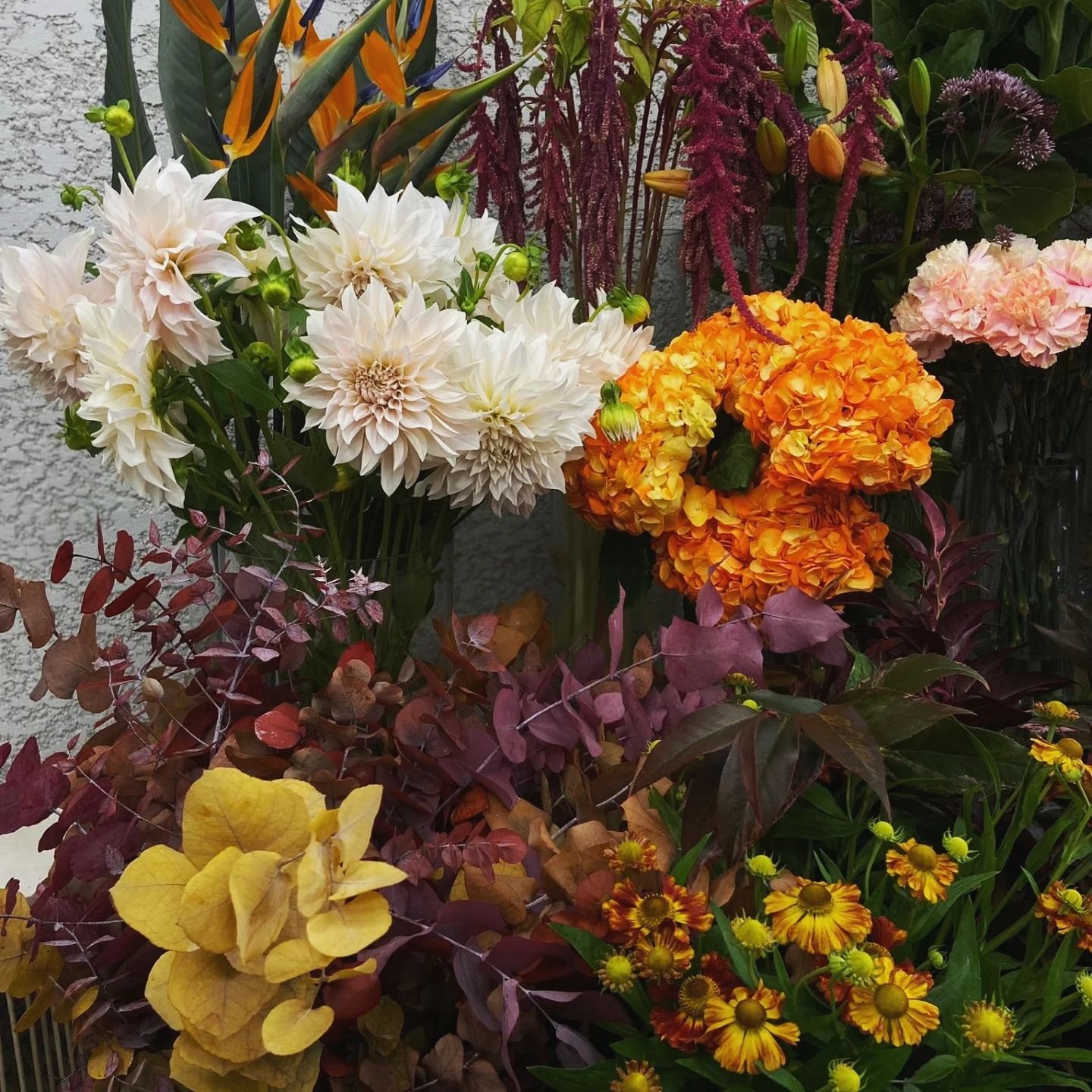 Bouquet coloré de fleurs mélangées avec des fleurs blanches, orange, jaunes et bordeaux.