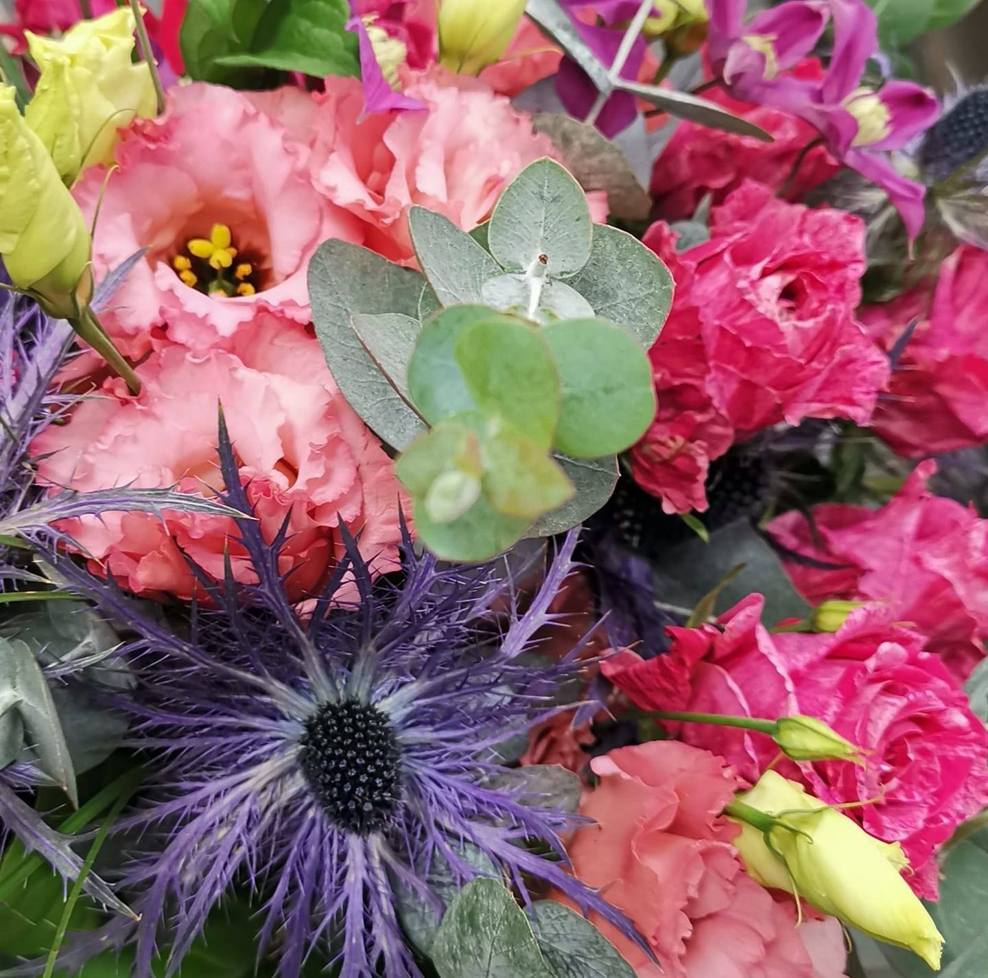 Gros plan sur un bouquet coloré de fleurs roses, violettes et vertes.