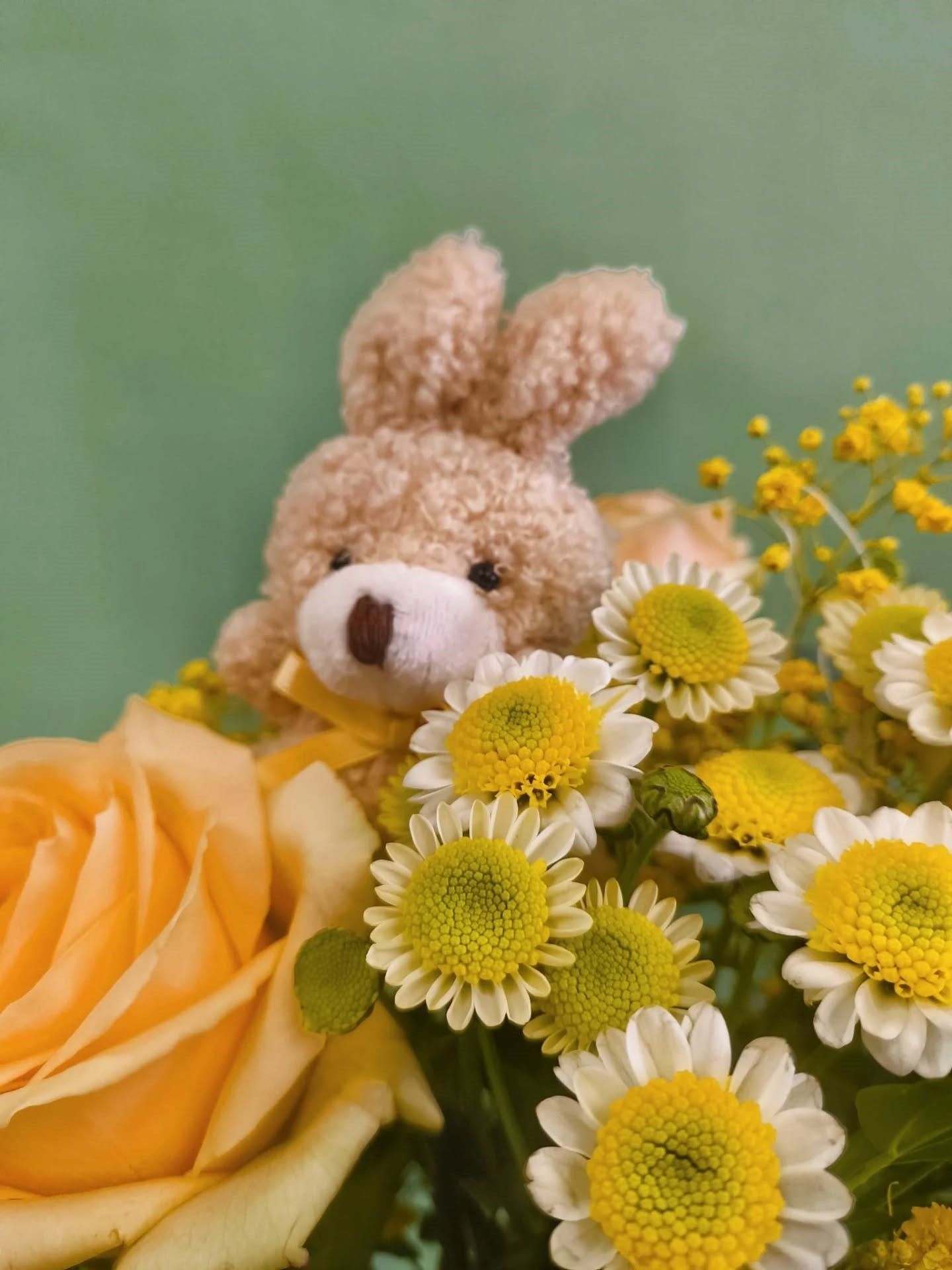 Lapin en peluche niché parmi des fleurs jaunes et une rose pêche devant un mur vert.