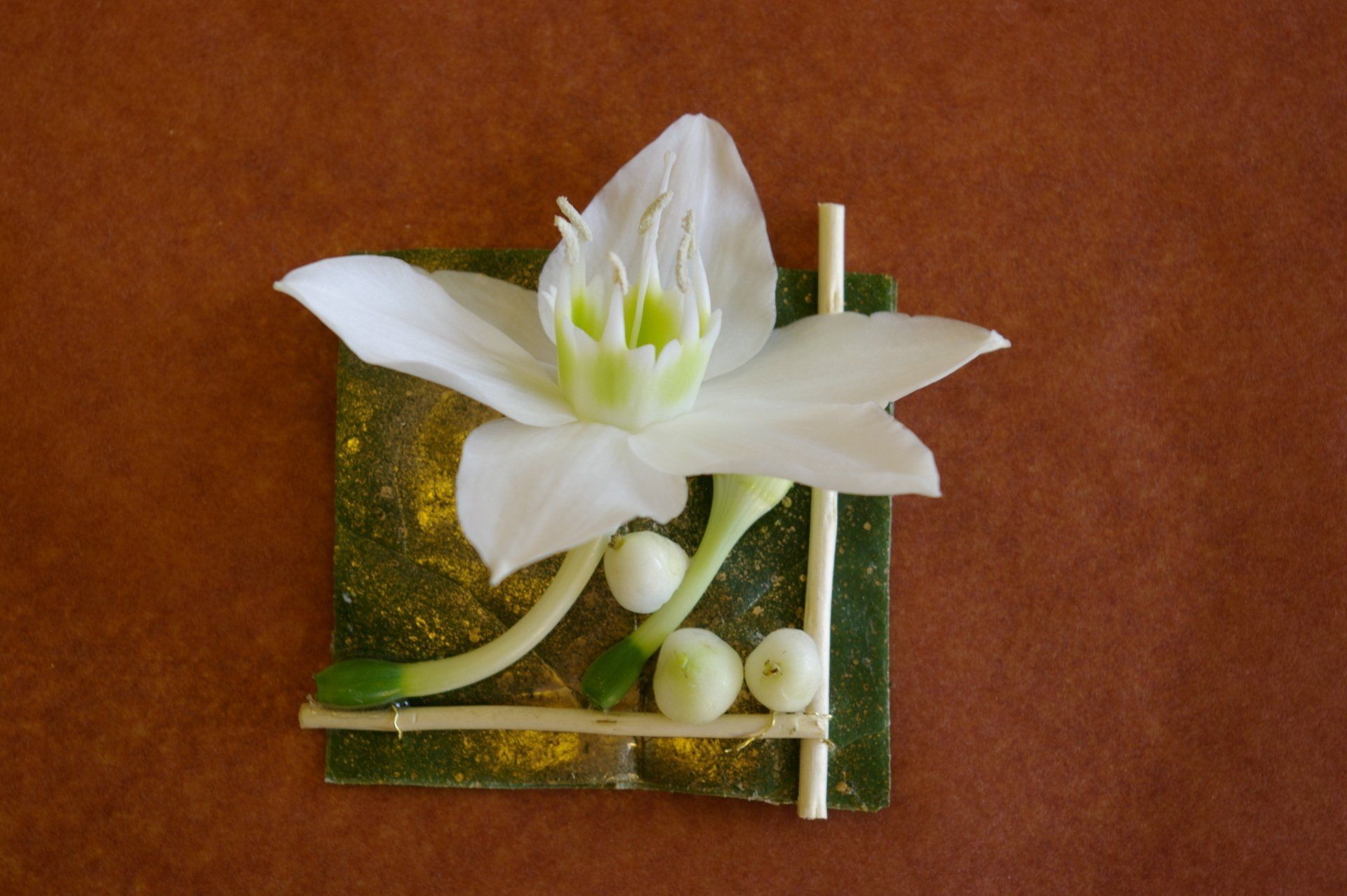 Composition florale blanche collée sur un petit carré en bois, peint en vert et or.