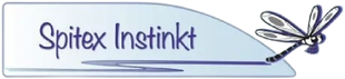 Spitex Instinkt-logo