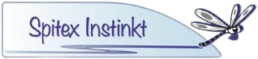 Logo Spitex Instinkt