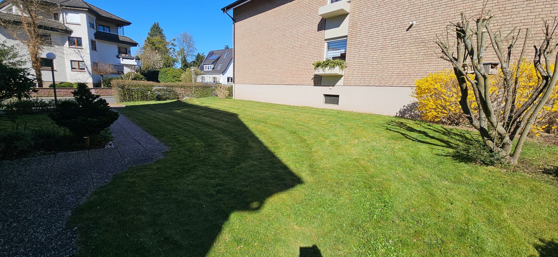 Garten mit grünem, gepflegtem Rasen