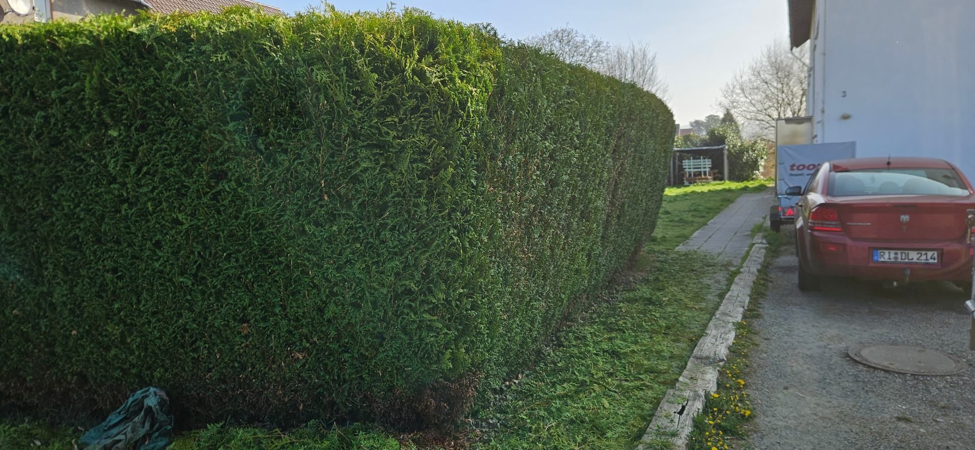 Schön geschnittene Hecke