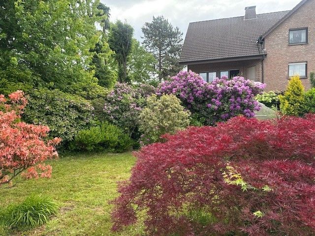 Ein Haus ist in einem Garten von Bäumen und Büschen umgeben.