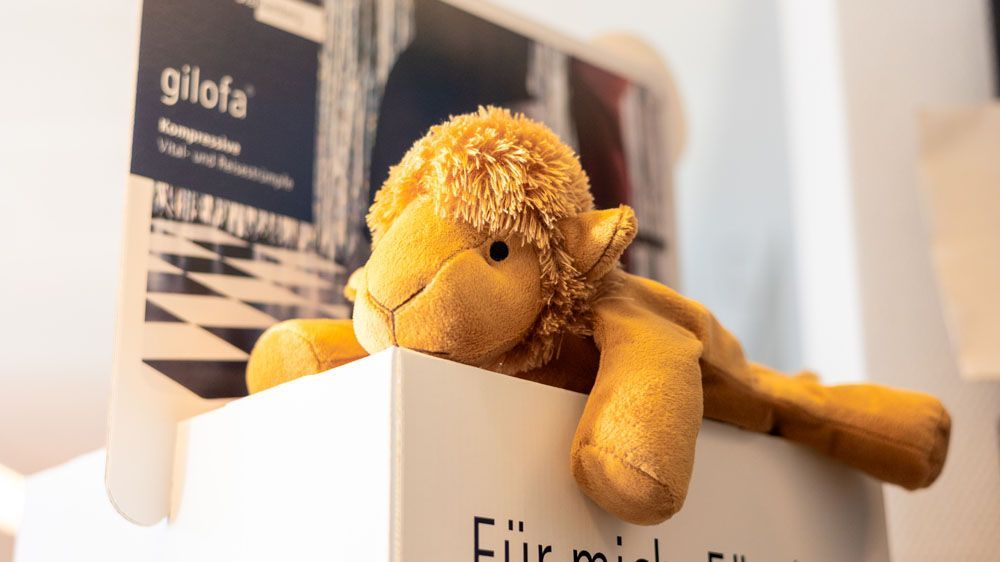 Ein ausgestopfter Löwe sitzt auf einer weißen Kiste.