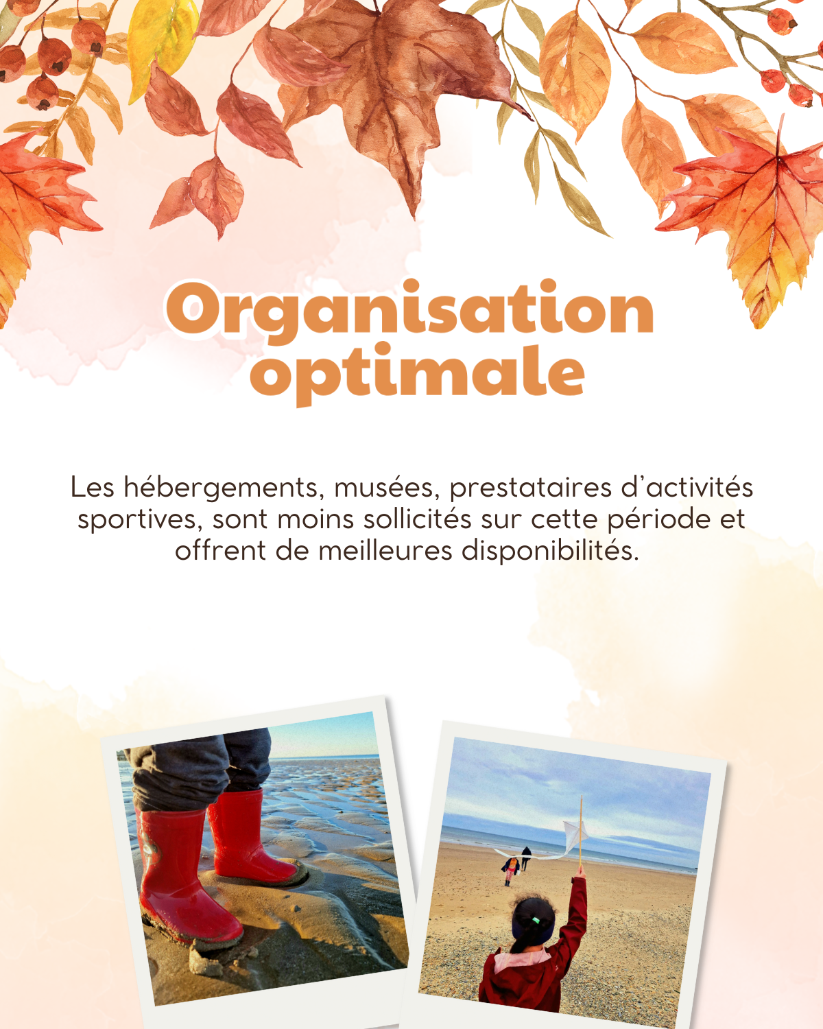 Organisation optimale