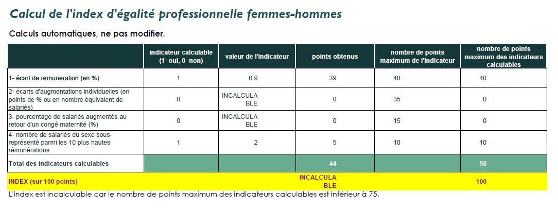 Index d’égalité professionnelle Femmes – Hommes – Année 2024