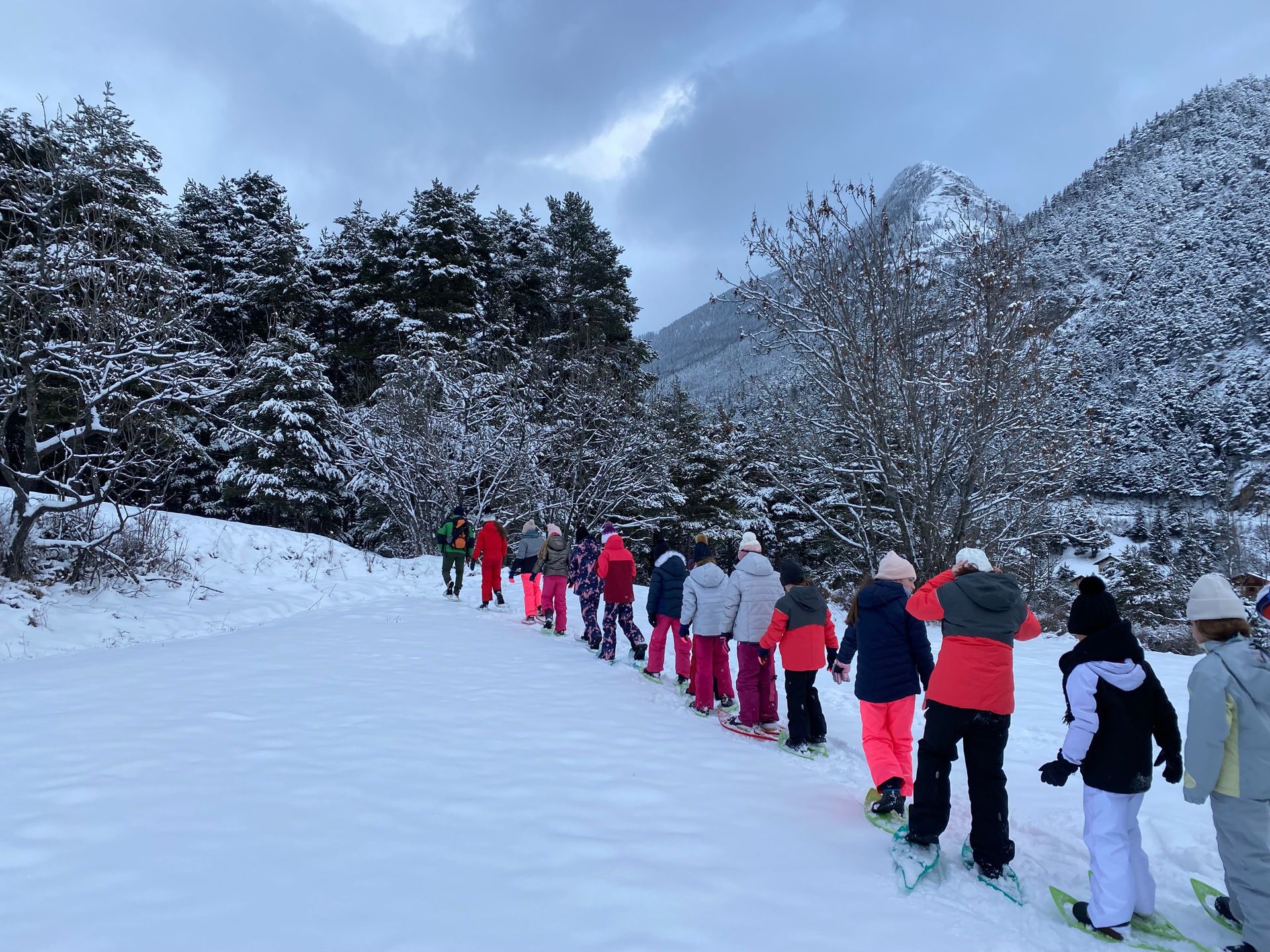 Activité dans la neige