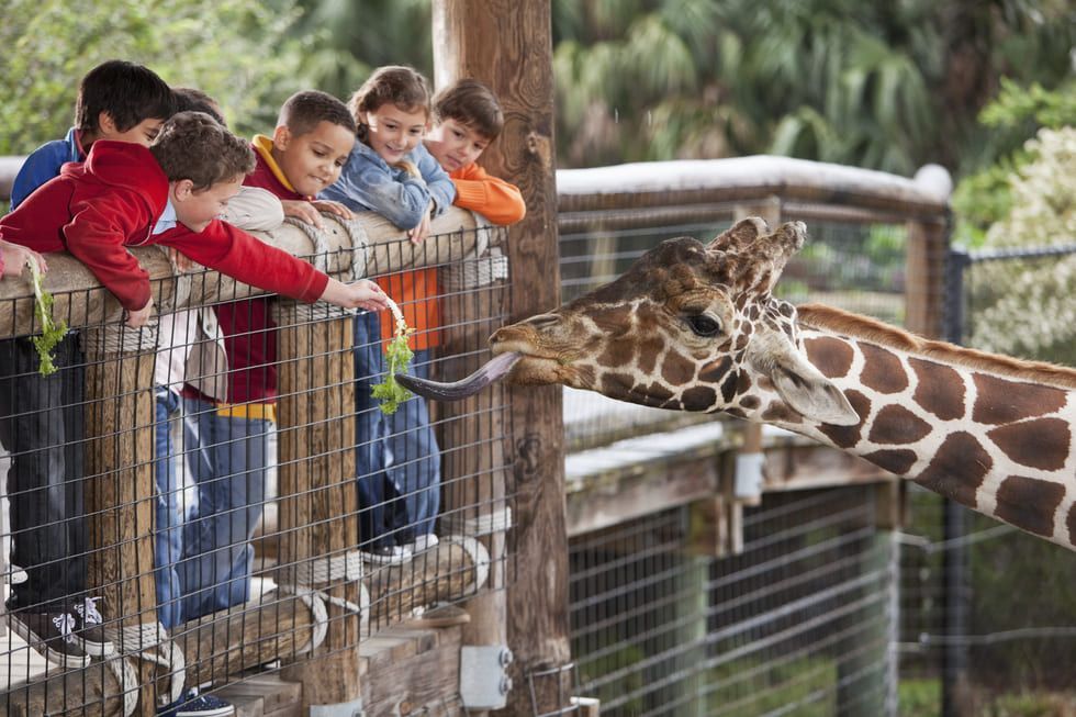 Groupe d'enfants au zoo