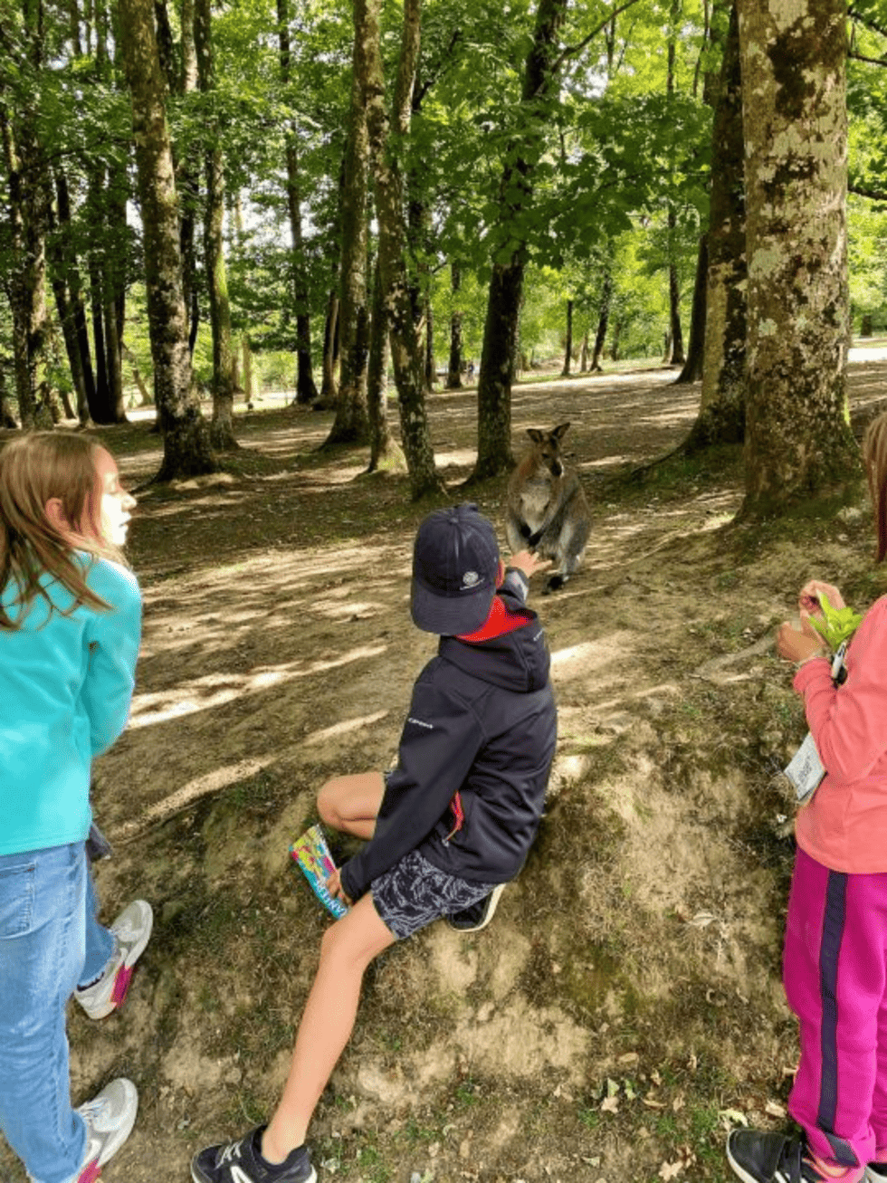 Colonie de vacances Muzillac 02