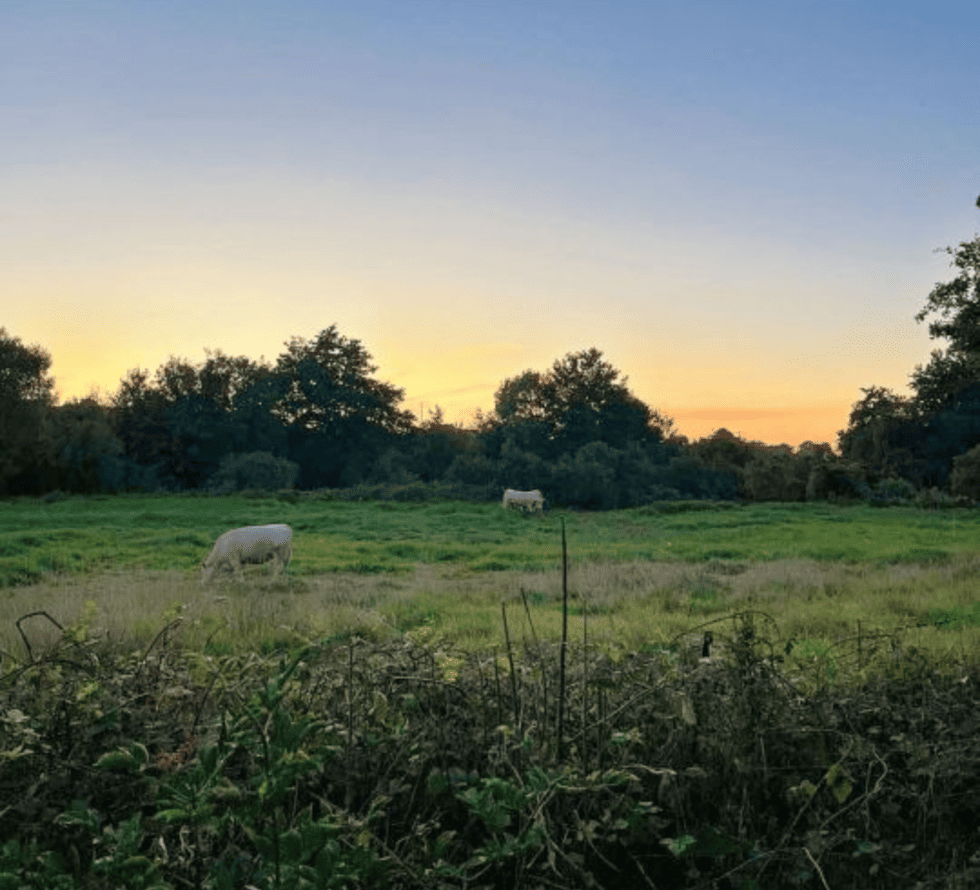 Colonie de vacances Muzillac 03