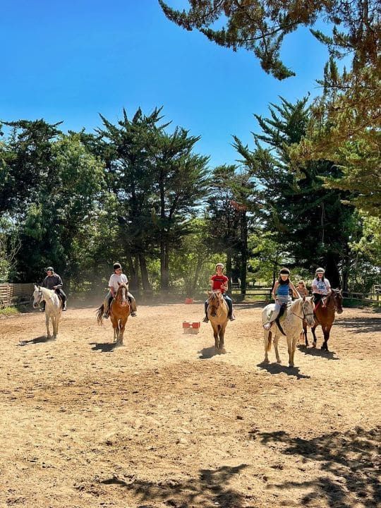 Colonie de vacances à OLÉRON 02