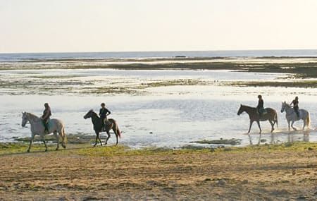 Cours d'équitation au bord de la mer