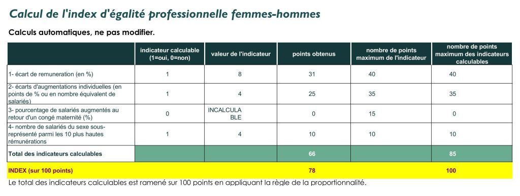 Index d’égalité professionnelle Femmes – Hommes – Année 2024