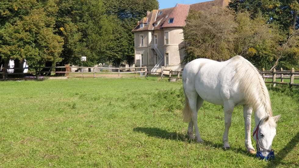 Colonie de vacances Tailleville 03