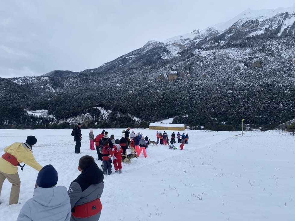 Activité dans la neige