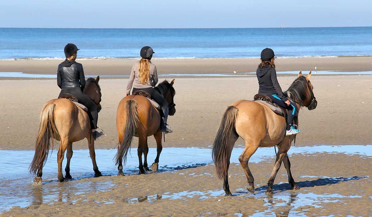 Cours d'équitation au bord de la mer