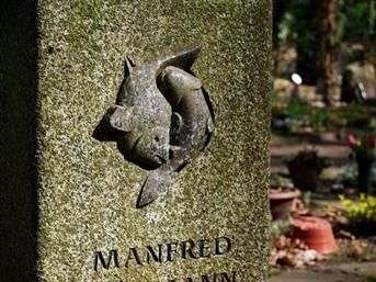 Verwitterter Grabstein aus Stein mit einem eingravierten Fisch-Emblem und dem Namen „MANFRED“ am Boden