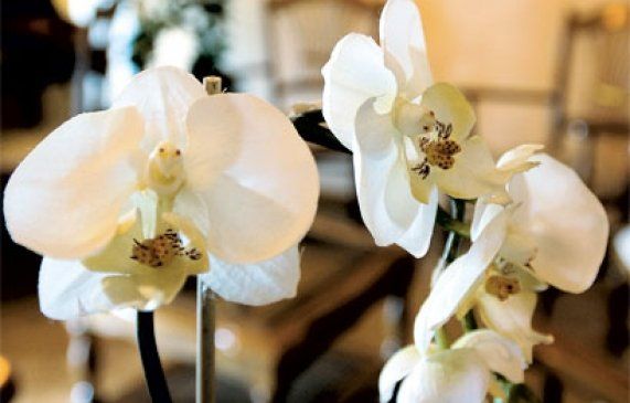 Fleur de décoration artificielle