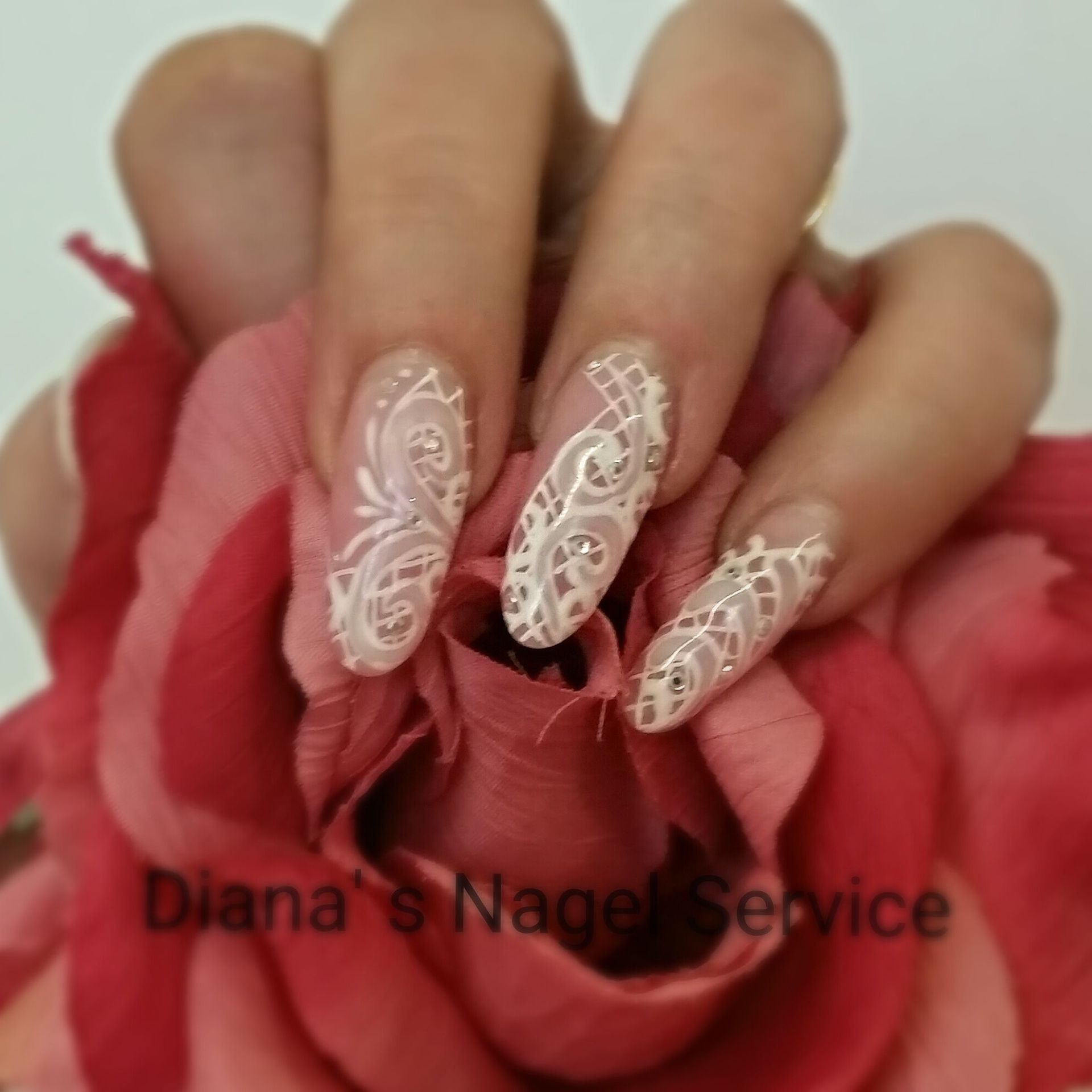 Diana's Nagel Service | Baar