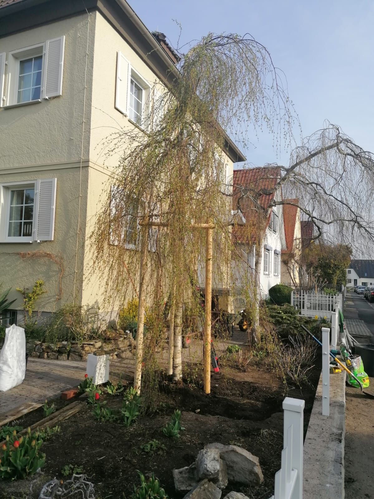 Wohngebäude mit Bäumen im Vordergrund vor Beginn von Baumpflegearbeiten.