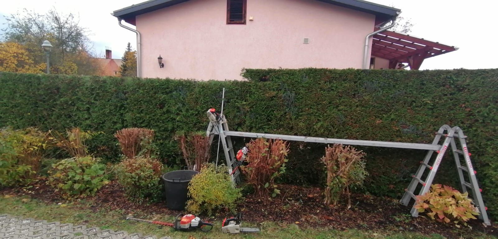 Gartenpflegearbeiten mit Leiter und Werkzeug im Privatgarten.