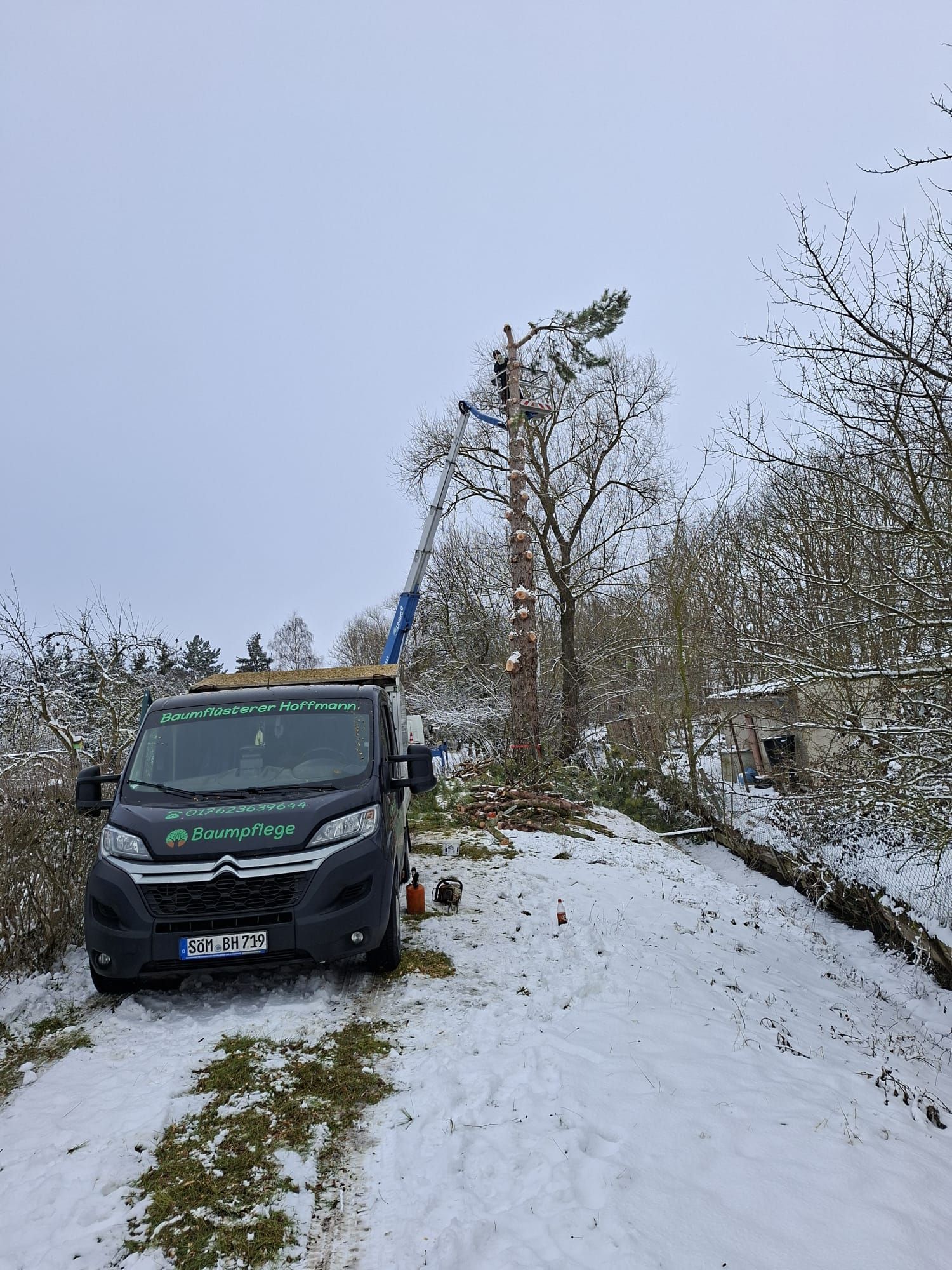 Baumpflegetransporter mit Hebebühne vor einem teilweise entasteten Baum im schneebedeckten Waldgebiet