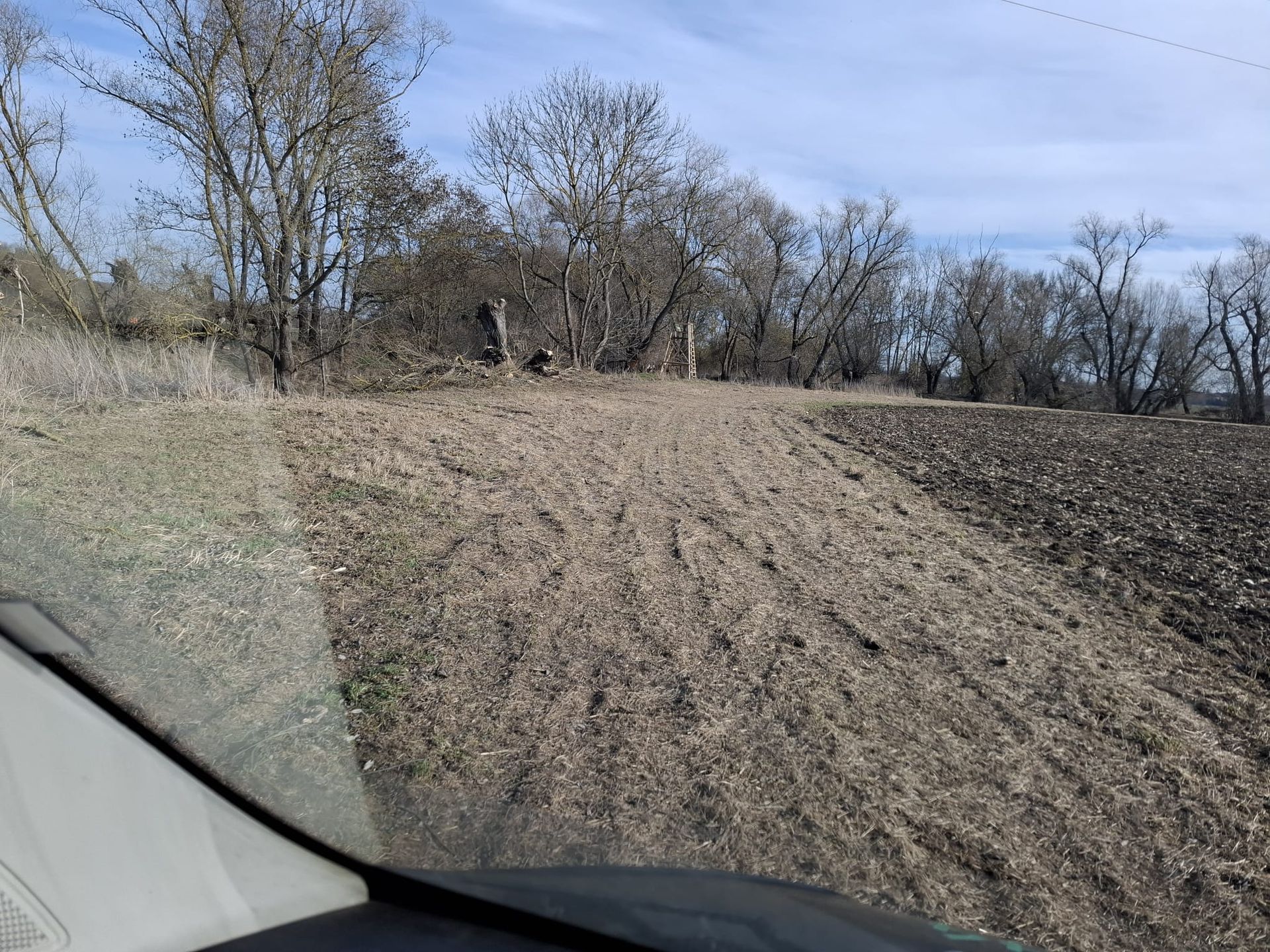 Großer Haufen gehäckselter Äste nach Baumschnittarbeiten.