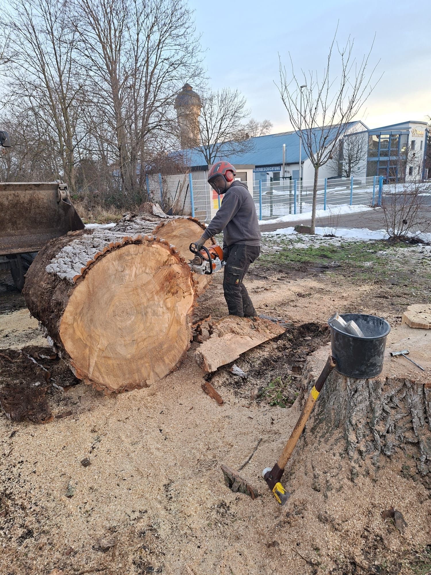 Gärtner bei Pflegearbeiten und Rückschnitt von Sträuchern.