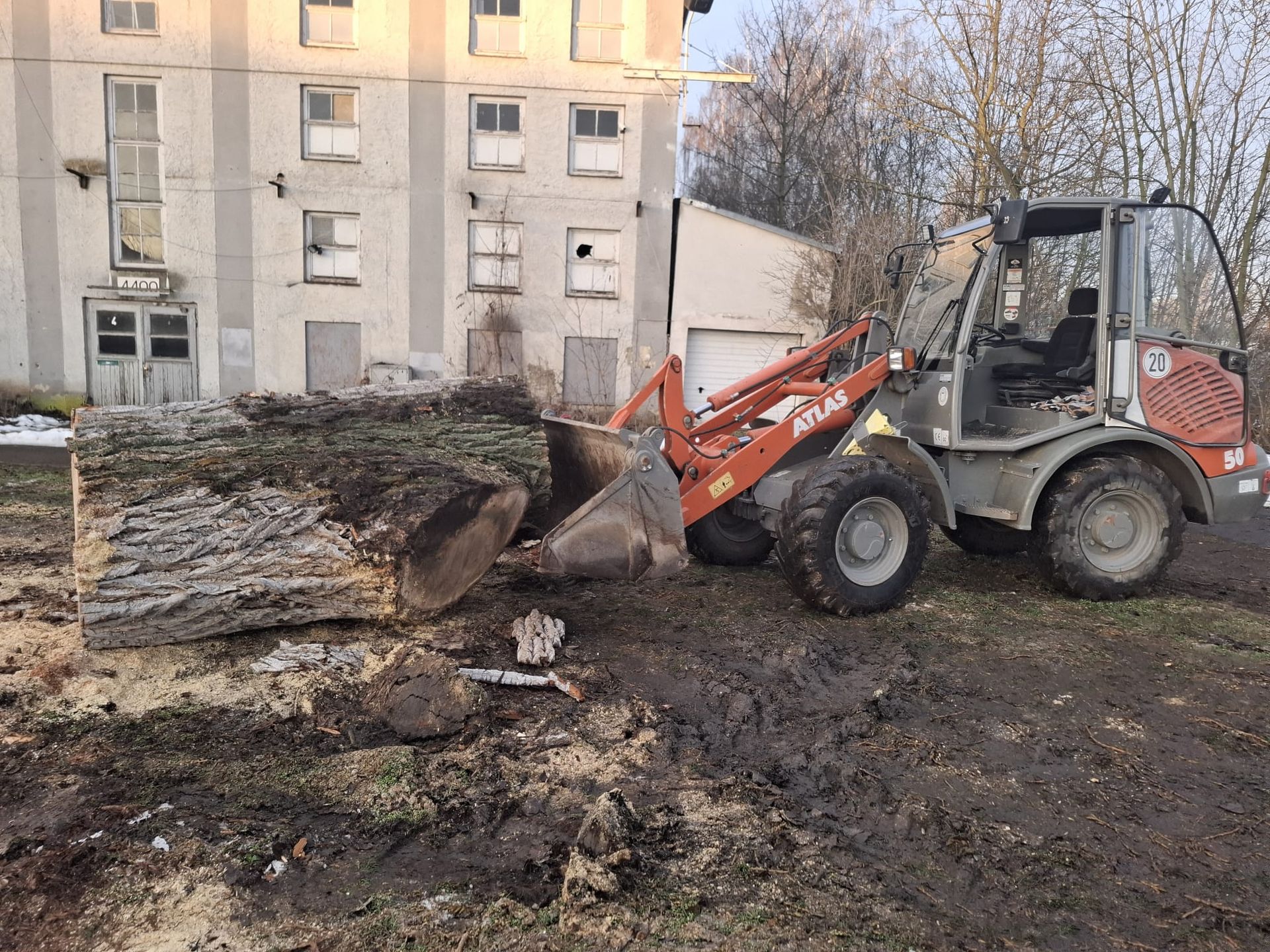 Radlader bei Baumarbeiten und Holztransport auf Baustelle.