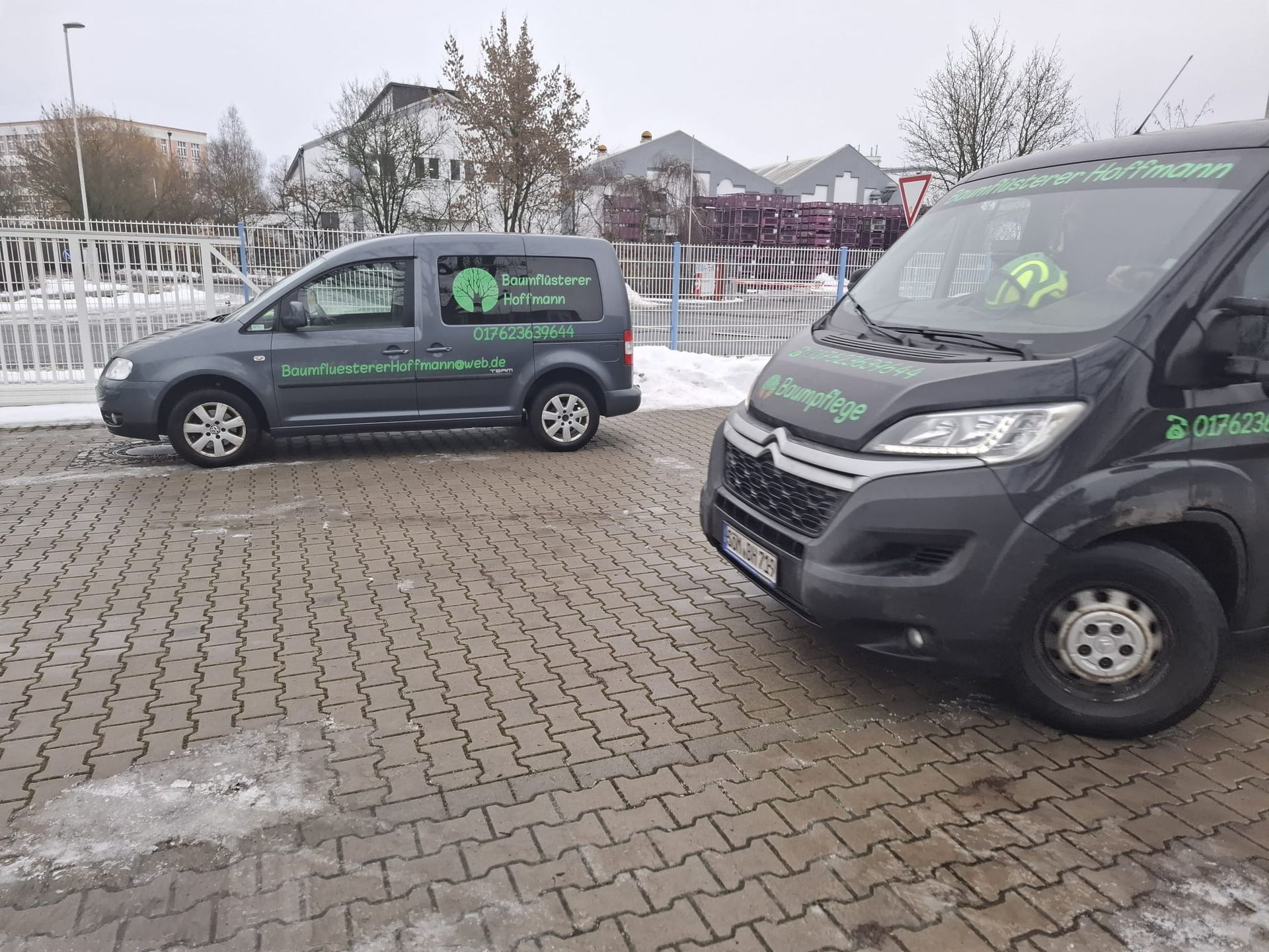 Firmenfahrzeuge eines Baumpflegebetriebs auf Parkplatz im Winter.