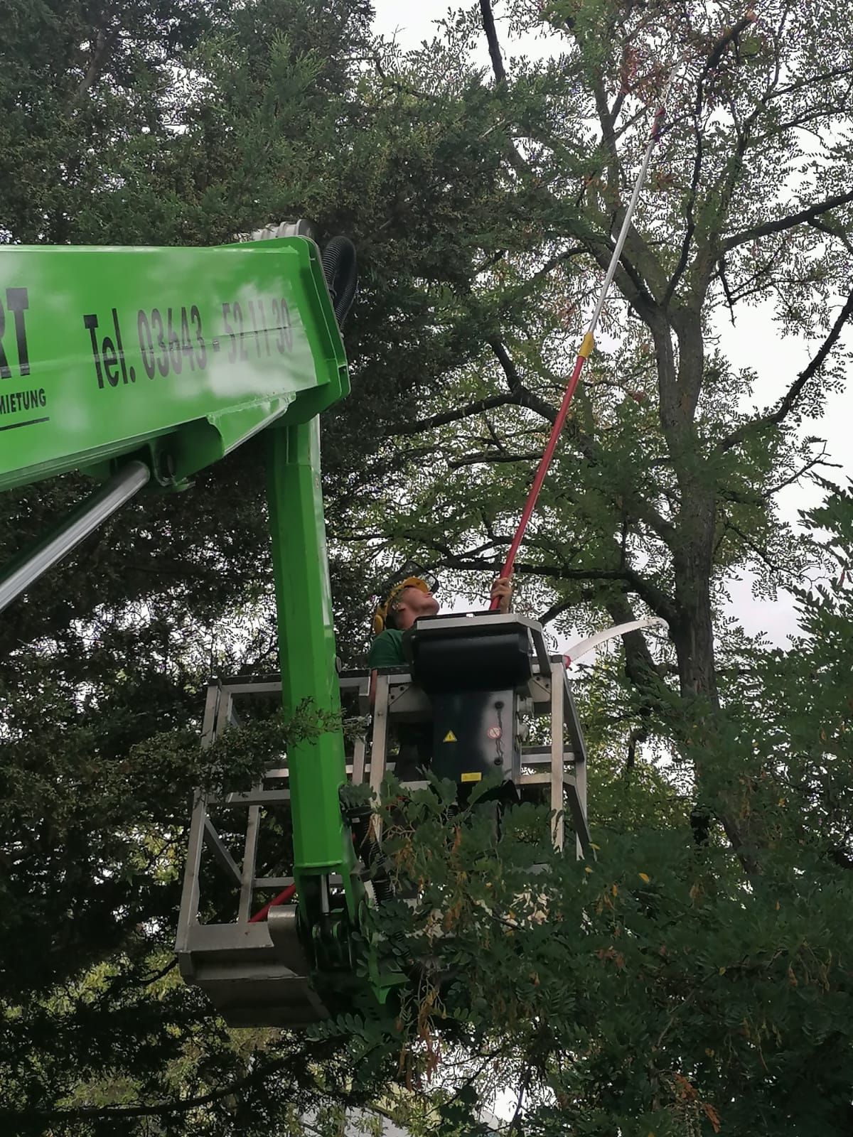 Abgesperrter Arbeitsbereich für Baumarbeiten im Außenbereich.