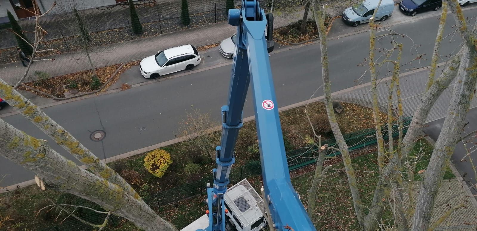 Hubarbeitsbühne für Baumpflegearbeiten entlang einer Straße.