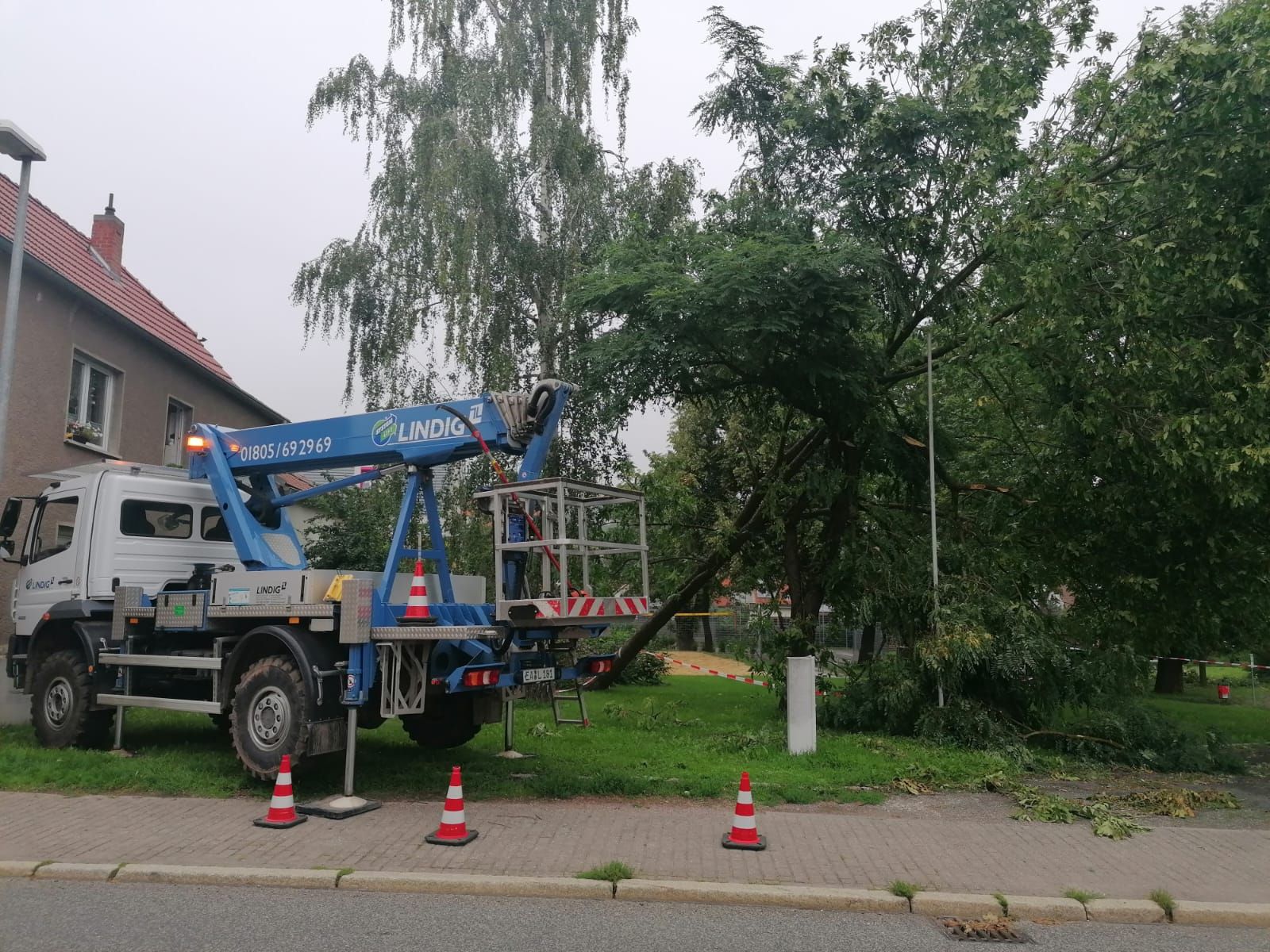 Baumpflegearbeiten mit Hubarbeitsbühne in einem Wohngebiet.