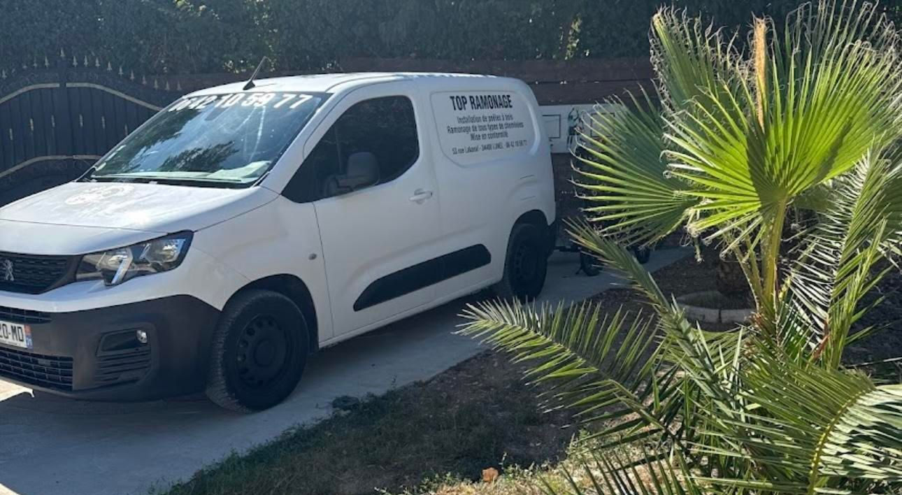 Le véhicule de Top Ramonage et un palmier.