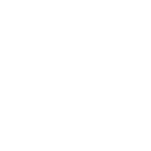 Icon Qualität