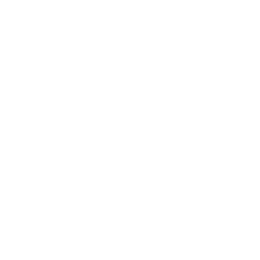 Icon Erfahrung