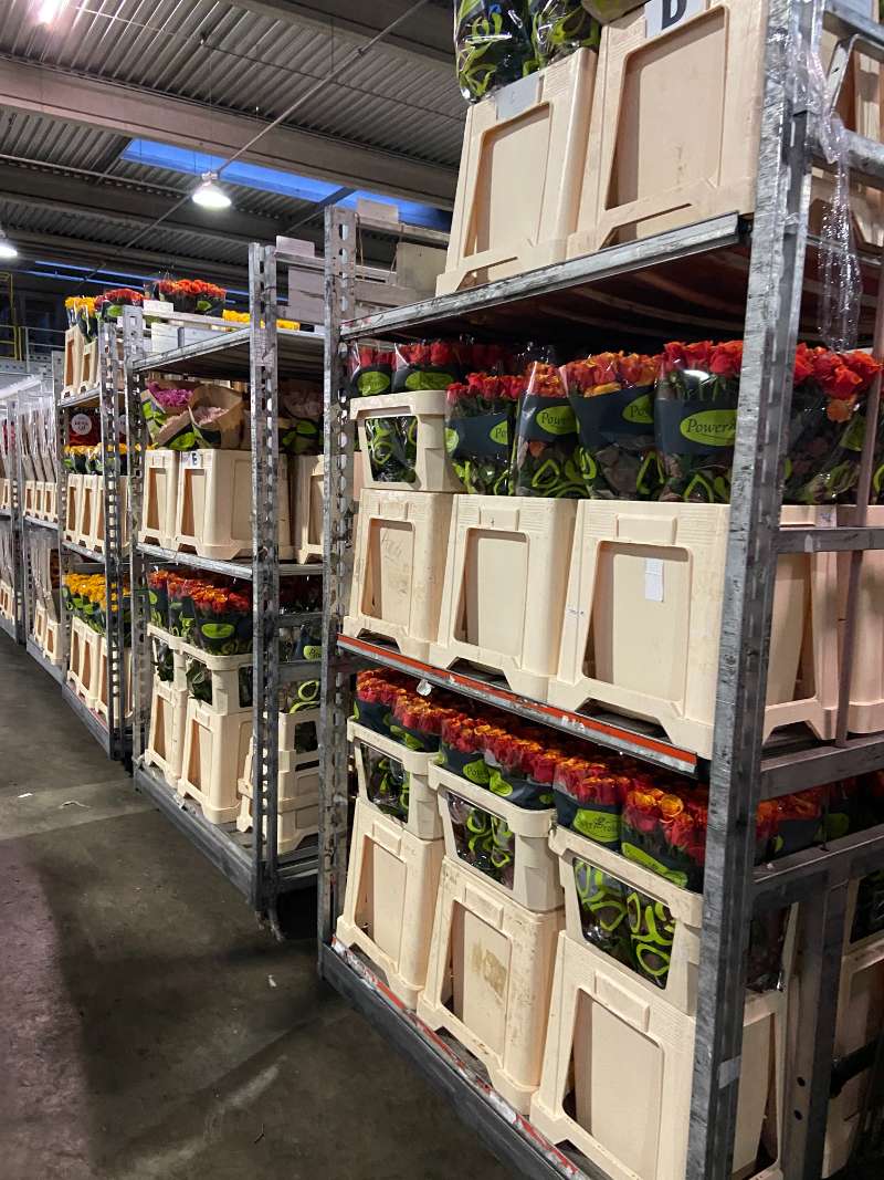 Bloemenveiling Brussel