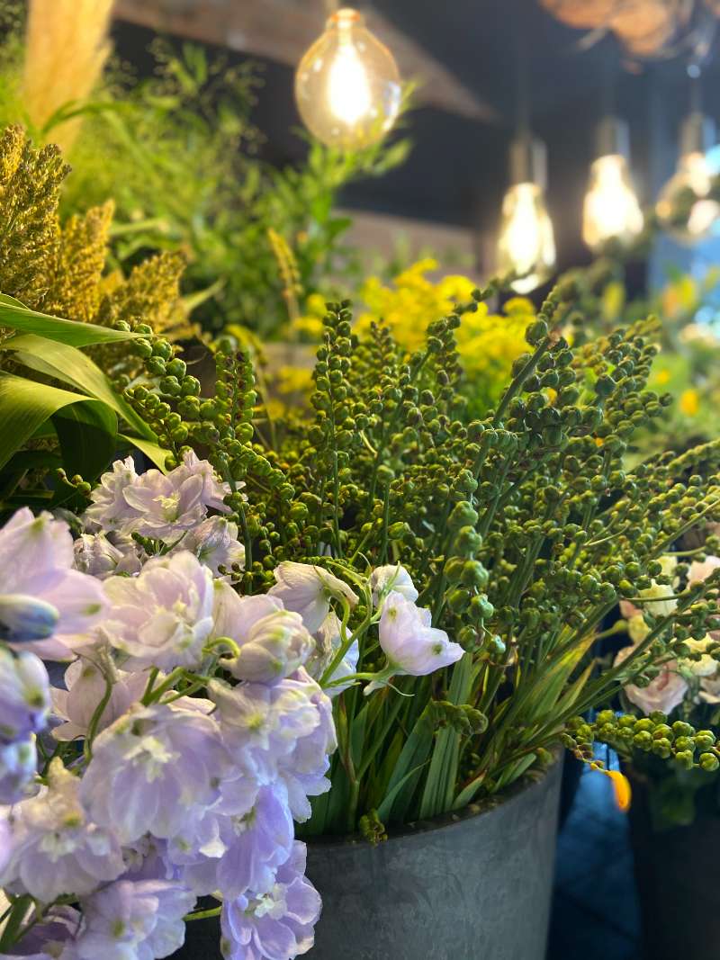 Snijbloemen lila en groen