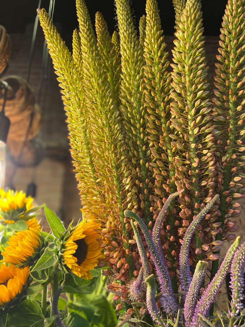 Goede service en mooie bloemen