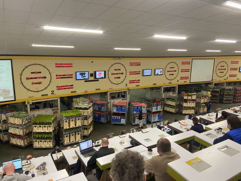 Producten van Callas Bloemen