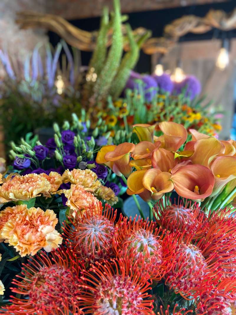 Rode en oranje snijbloemen