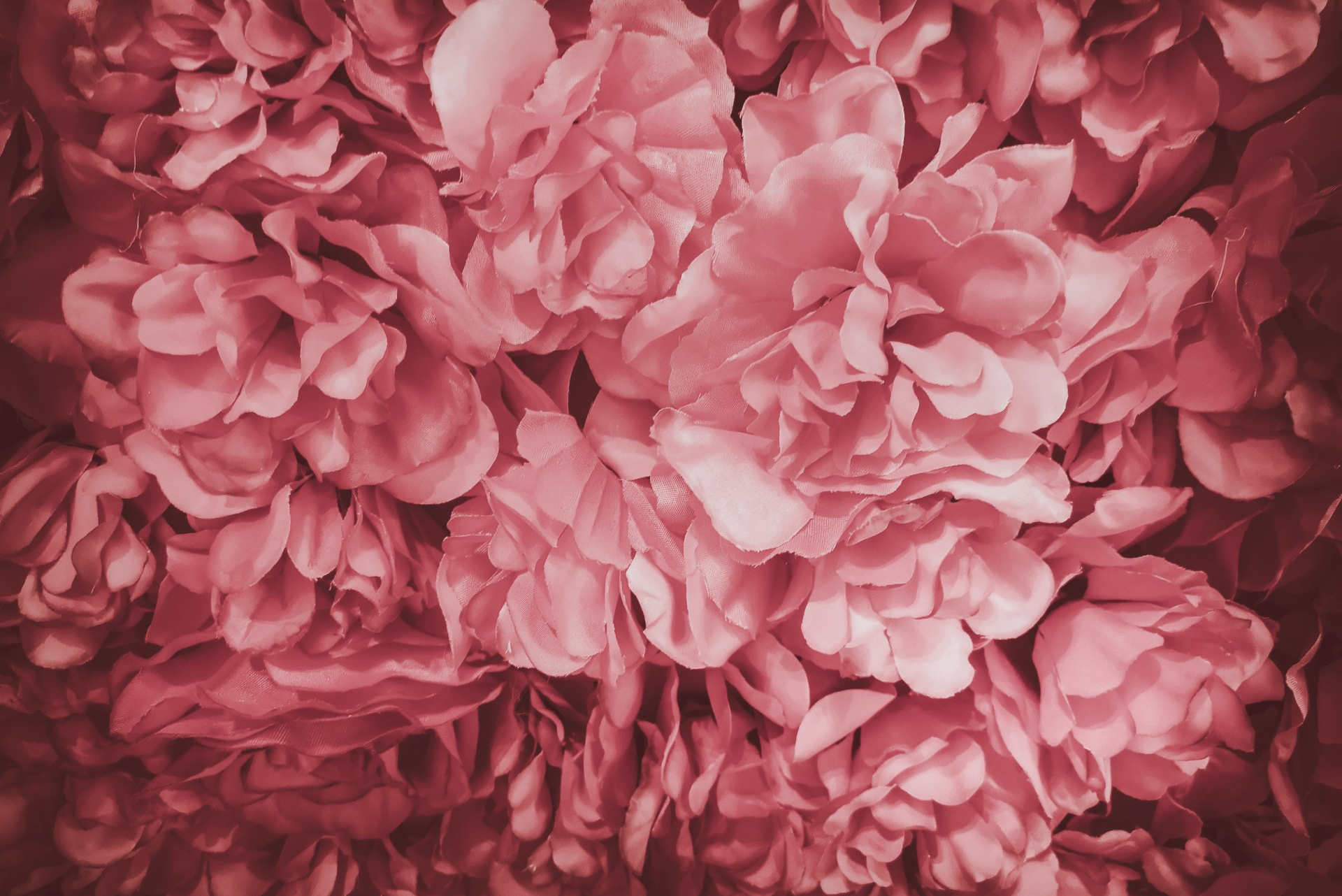 Fleurs artificielles de couleur rose