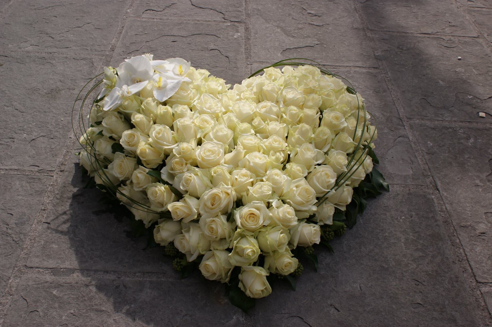 Roses blanches en forme de coeur