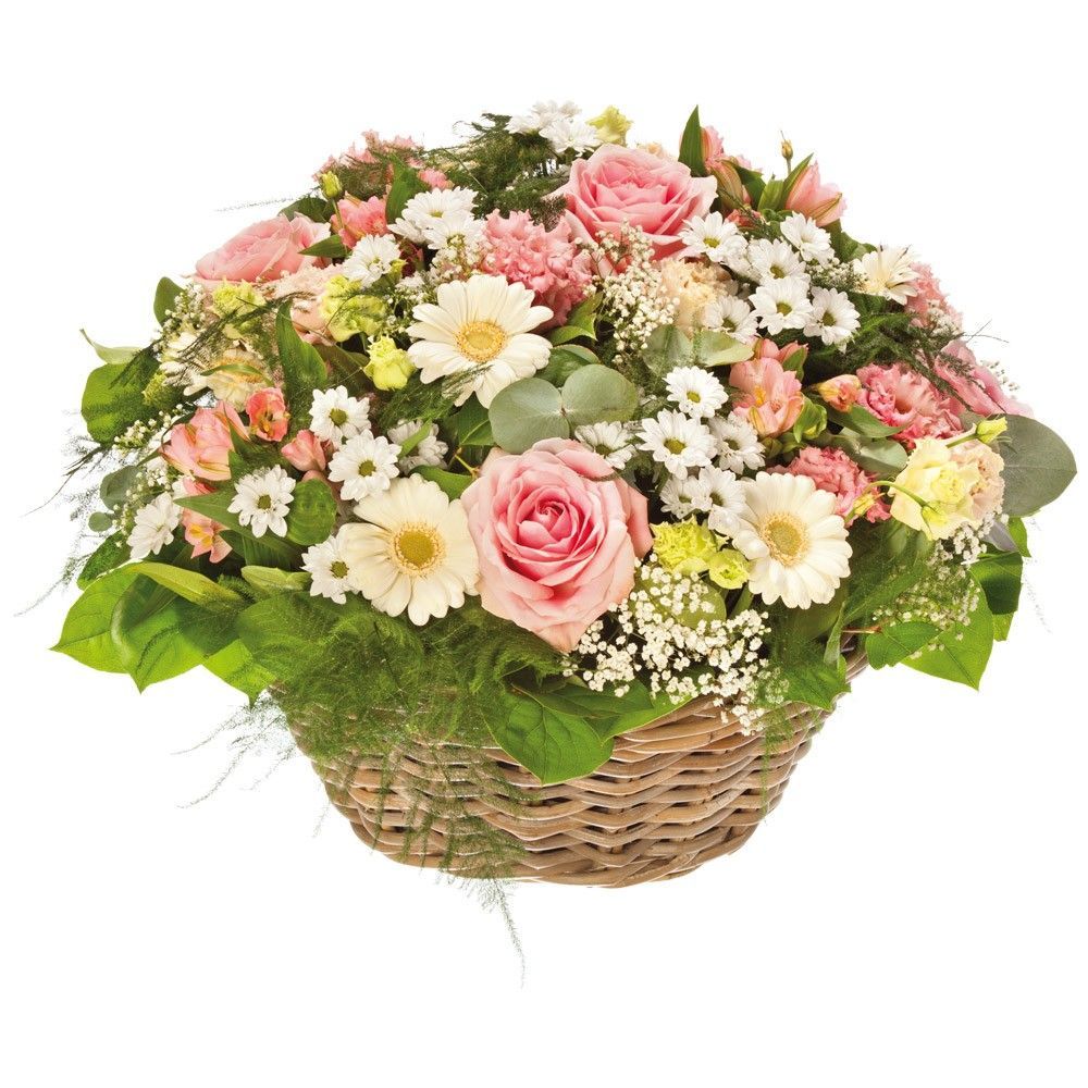 Coussin dans une panière