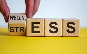 Eine Person hält einen Holzblock mit der Aufschrift „Welln Stress“.