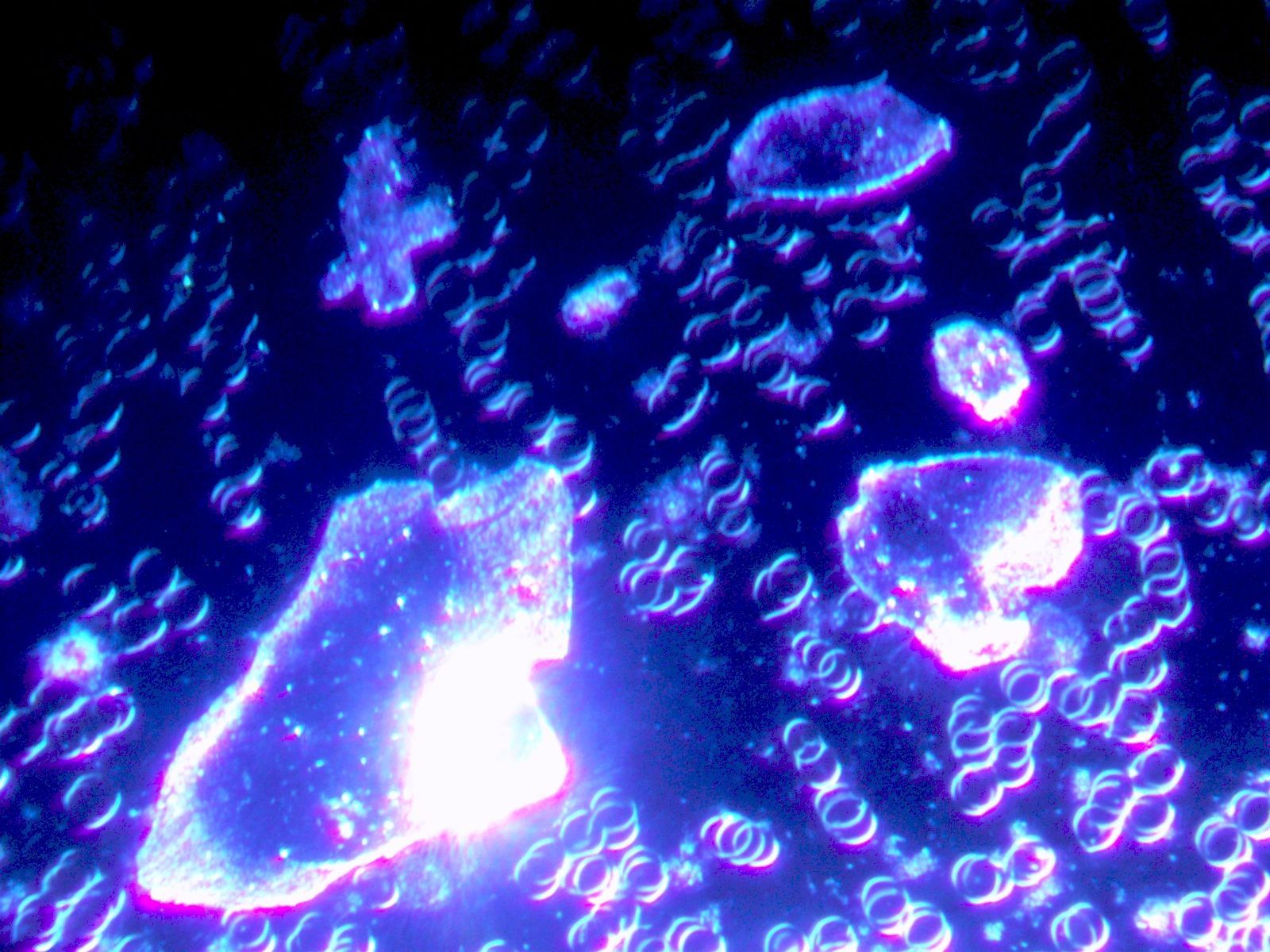 Eine Nahaufnahme eines violetten und blauen Hintergrunds mit Blasen