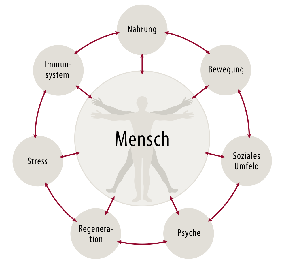 Ein Diagramm des menschlichen Körpers mit dem Wort Mensch in der Mitte